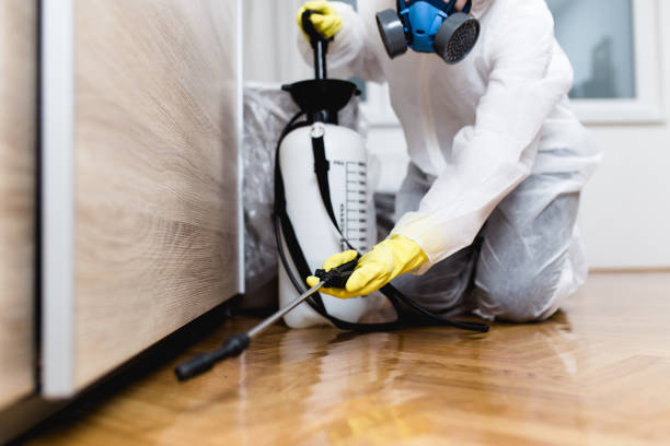 Best Affordable Pest Control Services  in El Dorado Springs, MO