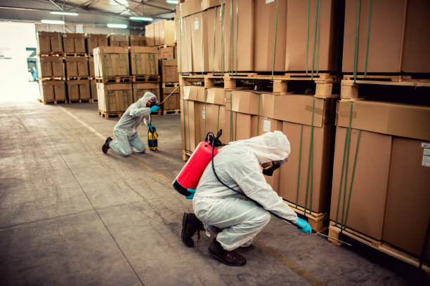 Best Pest Control Near Me  in El Dorado Springs, MO