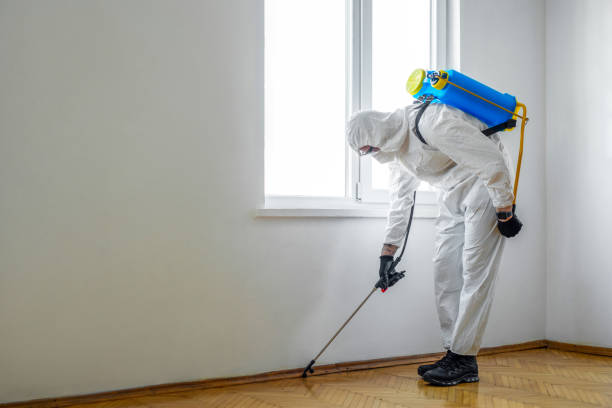Best Best Pest Control Companies  in El Dorado Springs, MO
