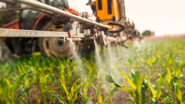 Best Mosquito Control Services  in El Dorado Springs, MO